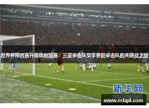 世界杯预选赛升降级附加赛：三亚拳击队交手贵阳拳击队的关键战之战